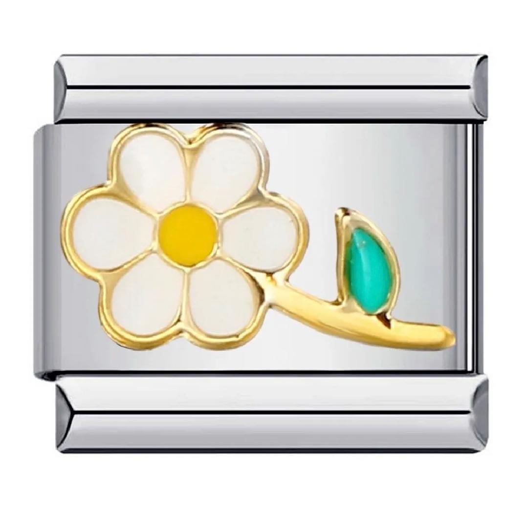 Charms 1